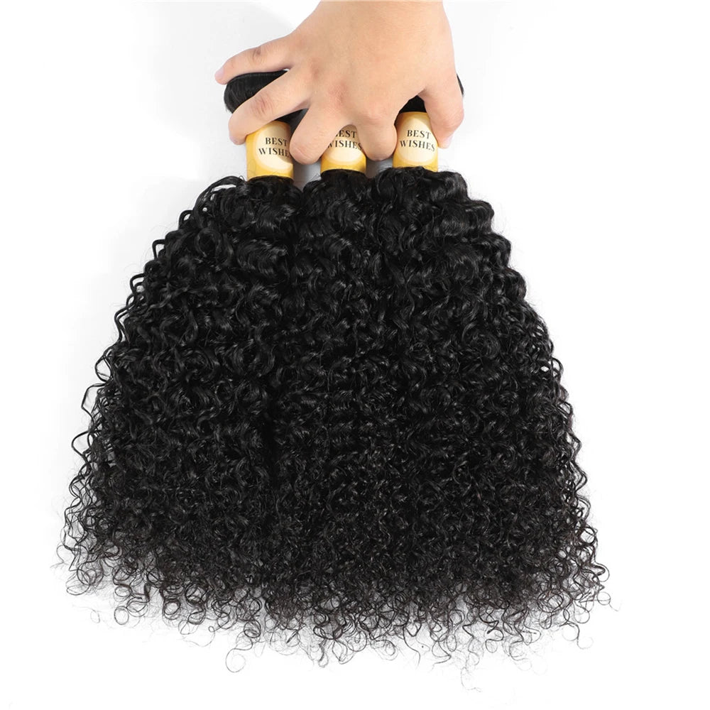 12A Kinky Curly Hair Bundles 1/3/4 Pcs Jerry Curly Bundles Human Hair 32 Inch Burmese Curly Hair Bundles 3-5 Days Delivery